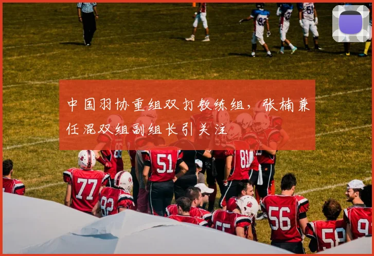 中国羽协重组双打教练组，张楠兼任混双组副组长引关注